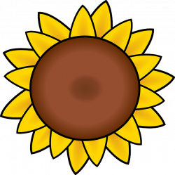 Free Image on Pixabay - Sunflower, Petals, Drawing, Summer ...