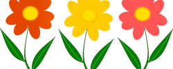 Assisteens Flower Sale ends March 1st | Assistance League – Houston
