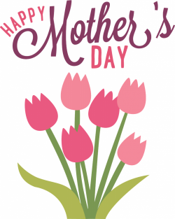 Flower growers, shippers gear up for Mother's Day - Flowers And Cents