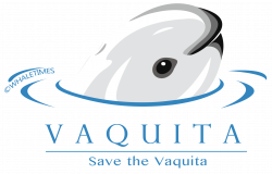 March is SAVE THE VAQUITA Month | WhaleTimes, Inc.