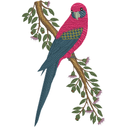 Machine Embroidery Design | Adelaide Parrot | Machine Embroidery ...