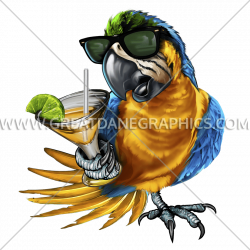 Party Time Parrot | Production Ready Artwork for T-Shirt Printing