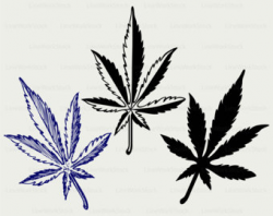 Cannabis clipart | Etsy