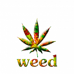 New facts about weed