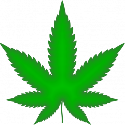 Free photo Drugs Marijuana Cannabis Hemp Drug Leaf Plant - Max Pixel