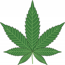 Kosher Cannabis Edibles - Whole Kosher Services