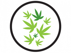 Herban Planet | Marijuana & Cannabis Business Guide