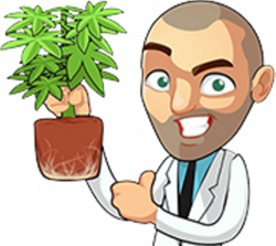 kushtimeforme: I Love Growing Marijuana | aditooda weed pile ...