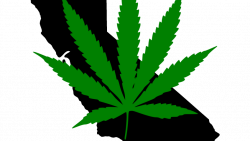 New Era of Legal Marijuana in California