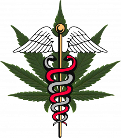 Michigan Medical Marijuana Report: World News for November 2015 - by ...