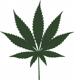 Mary's Medicinals – Giantweed
