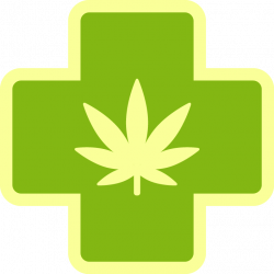 9 Florida Medical Marijuana Strains — Florida Medical Cannabis Clinic