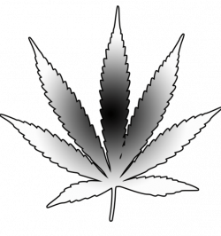 Cannabis Leaf | Free Images at Clker.com - vector clip art online ...