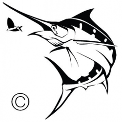Blue Marlin Chasing Flying FishSpirit Graphix | Spirit Graphix