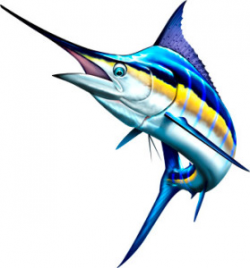 Blue Marlin - Clip Art Library