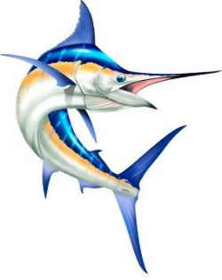 Blue Marlin 01 | Sea Animals (modern) | Blue marlin, Fish ...