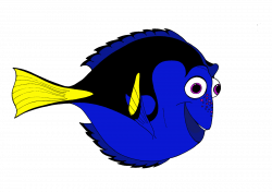 Nemo Marlin Clownfish Drawing - zebra 1600*1131 transprent Png Free ...