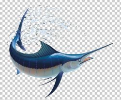 Marlin Fishing Atlantic Blue Marlin PNG, Clipart, Billfish ...