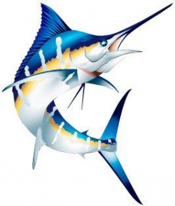 Marlin clipart | Blue Escapade | Fish illustration, Fish art ...