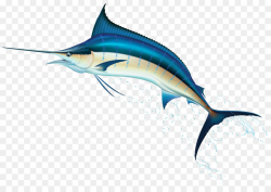 Fish Cartoon clipart - Fish, Marlin, Dolphin, transparent ...