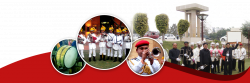 Best Wedding Bands in Delhi, Marriage Band and Dhol Service Provider ...