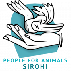 PEOPLE FOR ANIMALS, SIROHI, RAJASTHAN
