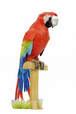 The scarlet macaw in Paper by Happy Paper www.happypapertoy.com ...