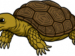 19 Tortoise clipart HUGE FREEBIE! Download for PowerPoint ...