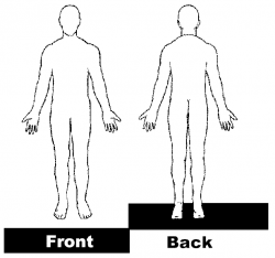 Blank picture of a human | human body outline. blank human ...
