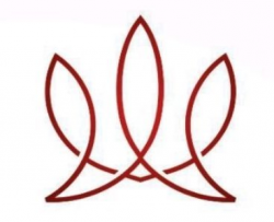 Apply Now – Palpation Prep – School of Massage