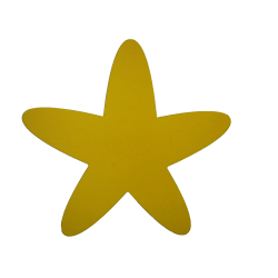 Chuck the Starfish