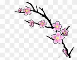 Flower Tattoo Clipart Transparent - Cherry Blossom Tattoo ...