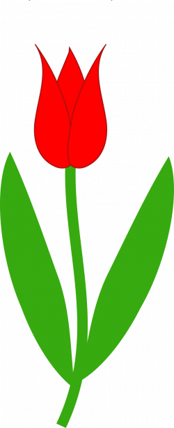 Public Domain Clip Art Image | Red Tulip | ID: 13971861614802 ...