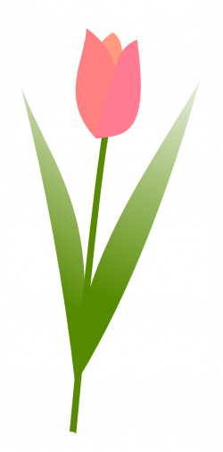 clipartist.net » Clip Art » tulip flower valentine SVG