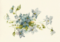 Antique Images: Free Flower Clip Art: Vintage Illustration ...