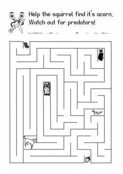 28+ Collection of Maze Clipart Black And White | High quality, free ...
