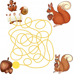 Color Labyrinth Color Maze Squirrel Clip art - Maze squirrel 784*800 ...