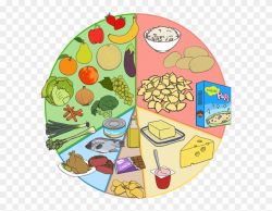 Balanced Diet Eating And Drinking Different Foods To Clipart ...