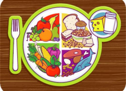 Intro to My Food Plate | Perkins eLearning