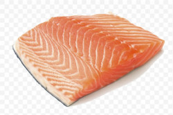 Sushi Sashimi Fish Salmon Meat, PNG, 1600x1067px, Sushi ...