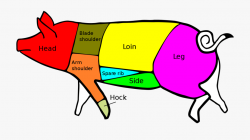 Pork Clipart Pork Rib - Part Of The Pig Is Ham #447221 ...