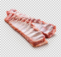 Spare Ribs Back Bacon Pork Ribs PNG, Clipart, Animal Fat ...