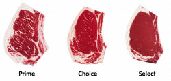 Steaks 101: Don't Eat Steaks That Suck! Learn the Different Grades ...