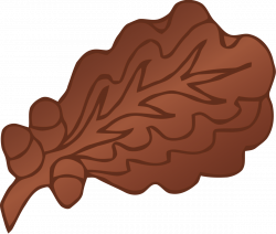 Feuilles de chêne (décoration militaire) — Wikipédia