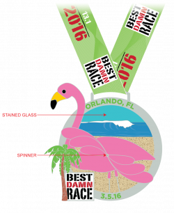 Orlando - Best Damn Race Half Marathon Medal 2016 | 50 states of ...