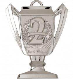 Image - TM22-Trophy-Medal-2nd-Place-Silver.png | Fanon Wiki | FANDOM ...