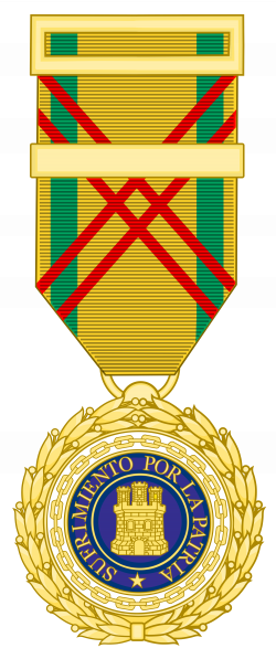 File:Medal of Suffering for the Motherland (War).svg - Wikimedia Commons