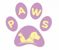 PAWS Miami | Dog Walking, Pet Sitting, Cage-Free Home Boarding