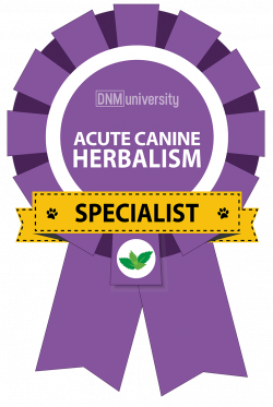 Acute Canine Herbalism Certification Course