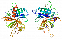 Tissue plasminogen activator - Wikipedia